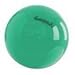 Produktbild Pezziball Gymnastikball 65 cm grün inkl. Original Pezzi Ballpumpe und Übungsanleitung