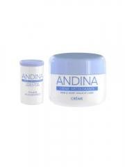 Gifrer Andina Discoloring Cream 30ml+7g