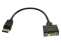 Fujitsu Display Port/DVI Adapter Cable