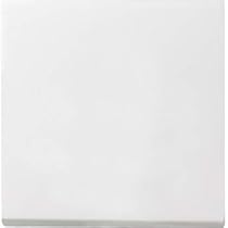 Interruttore, Presa E Telaio Gira System 55 - Bianco Puro Satinato Serie 55 Per Installazione A - Foto 3