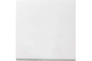 GIRA System 55 reinweiß SEIDENMATT Wippe Wechsel ein/aus (029 627)