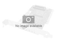 Preisvergleich Produktbild INTEL AXXGBIOMEZV Dual Gigabit Ethernet I / O expans