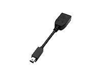 Preisvergleich Produktbild PNY Adapter Mini-DisplayPort auf DVI