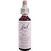 BACH FLOWER ESSENCES Flower Essence Elm 20 ML RS.2586.00