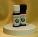 Preisvergleich Produktbild Aroma Latschenkieferöl - naturidentisches Öl, 10 ml