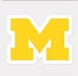Michigan Wolverines 10x10 cm Home &amp; Auto Decal (American College)