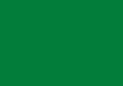 Wachsplatten / Verzierwachs "Hellgrün" (2 Stück / 175 x 80 x 0,5 mm) TOP QUALITÄT