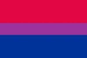 Flagge Fahne Bi Pride 90x150cm