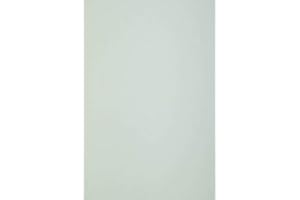 Netuno 10 cartoncini riciclati verde pastello formato A4 210 v 297 mm 300g Keaykolour Pastel Green carta colorata ecologica per progetti fai da te lavoretti inviti biglietti partecipazioni scatole