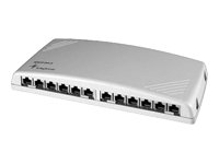 TELEGAERTNER Patchpanel Cat.6 12 Ports Wandmontage