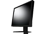  Eizo S1701 - Monitor (431.8 mm (17\"), 5 ms, 300 CD/m², Negro, 38 W, 363 mm)