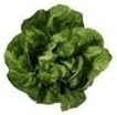 Banana King Flat Lettuce Salad