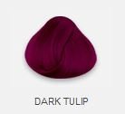 4 x LaRiche Directions Haartönung dark tulip 88 ml