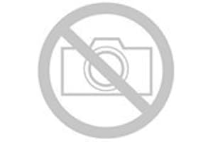 FISCHER DAREX Agrafes galvanisées de type c (14-768)