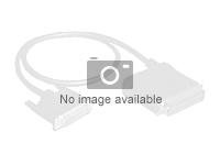 Fujitsu S26361 - f1537 - L180 - SAS Cable 3 0 Controlador - 