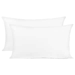 12 pillow insert
