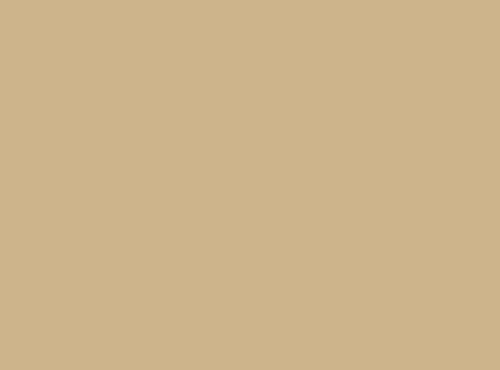SparVar Lackspray RAL 1001, matt, 400 ml, beige, 6091419 - 2