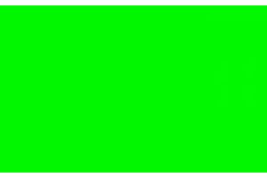 Autolack Center Lechler Tagesleuchtfarbe RAL 6038 Leuchtgrün 500ml