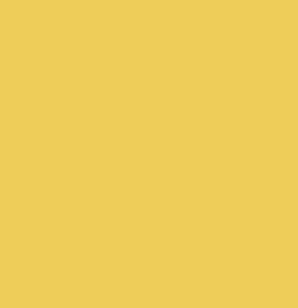 PAIR OF PILLOW CASES SET 65CMX65CM-LEMON