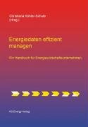 Energiedaten effizient managen: Ein Handbuch für Energiewirtschaftsunternehmen