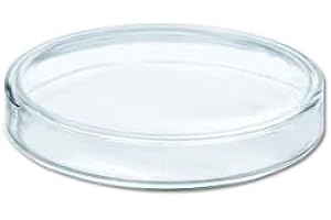 XULEGGNK Lot de 120 boîtes de pétri en plastique de 80 mm