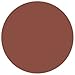 L'Oreal Paris Colour Riche Lipstick - Silk (Number 231)