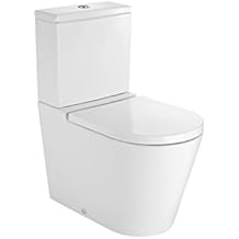 Amazon.es: inodoro roca
