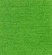 Permaset Aqua Standard 1 Litre Mid Green Ink - Screen Printing Ink for Fabric - Ideal Screen Printing Kit for Home Office, Starter Kit, Fabric Paint, Screen Printer and Other Fabric Ink