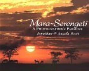 kindle best category lists