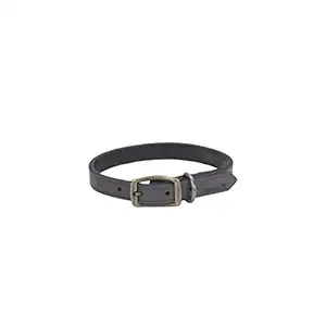 Coastal Pet Products Circle T Rustic Leather Town Dog Collar, 5/8