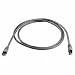 Produktbild Telegärtner MP8 100-3,0 Patchkabel Kat5e UTP grau 3.0 m