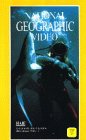 Preisvergleich Produktbild National Geographic Video - Haie [VHS]