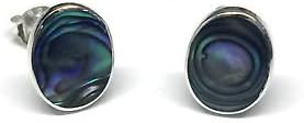 Natural Abalone Paua Shell Oval Stud Earrings in delicate blue/green (P280)