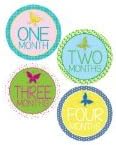 Butterfly Monthly Onesie Stickers for a baby girl - Waterproof and Durable - Includes 1-12 Month Stickers