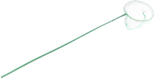 BG International - Juguete de Aire Libre (14370)