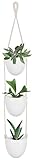 titular de la planta creativa: mkouo innovadora titular de la central tapiz, ligero y delicado, perfecto para colgar plantas pequeñas o almacenamiento de algunas cosas en la pared. una decoración especial a su casa.