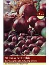 Onion Set Electric 50 by Taylors Bulbs