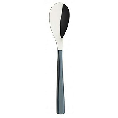 Guy Degrenne Quartz Cuillère à café Bleu Marin INOX 18/10 - Lot de 6