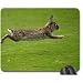 Produktbild rabbit flees Mouse Pad, Mousepad