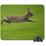 Preisvergleich Produktbild rabbit flees Mouse Pad, Mousepad