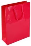 Shopping Bags Direct Small Portrait Dark Pink Gloss laminated Matching Rope Handles Gift Bags 15 x 20 x 8