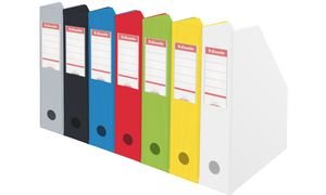 Esselte Porte-Revues, A4, Grande Capacité, Vert, 56076