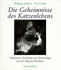 Download Die Geheimnisse des Katzenlebens. Verblüffendes, Unbekanntes, Rätselhaftes & Merkwürdiges aus dem Alltag einer Hauskatze