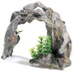 CLASSICDriftwood arch with plants 10"