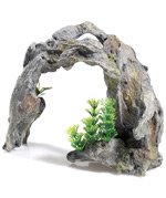 CLASSICDriftwood arch with plants 10"