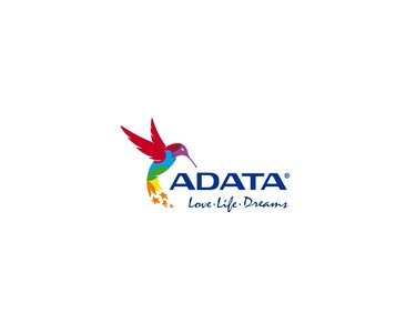 Preisvergleich Produktbild Memory D4 2400 4GB C16 ADATA