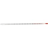 THERMOMETER chemisch bis 100° C 1 St