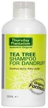 Tea Tree every day shampoo 200ml