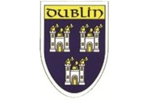 EUROSTICK Dublin Irish County Crest Shield Car Bike Sticker Decal Northern Ireland