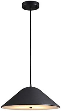 FuweiEncore Nordic Restaurant Bar of Aluminum Pendant Luminaires Post-Modern, Creative Side of The Bed Space Vehicle Aluminum Single Head Led Industry (Color: Black) (Color : Black)
